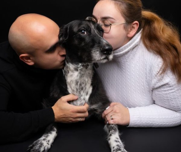 Sesiones fotografica para perros Sesiones fotografica para perros